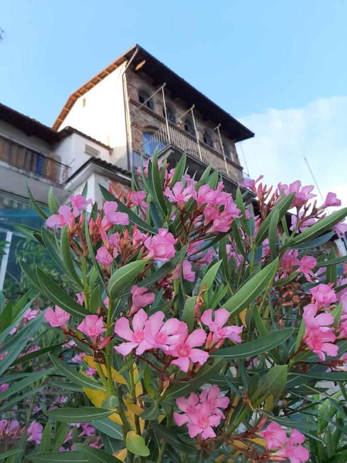 Le Case Di Angelina - Langhe Loft & Suites Farigliano Exteriér fotografie